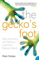   The Gecko&rsquo;s Foot