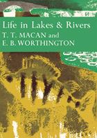   Life in Lakes and Rivers