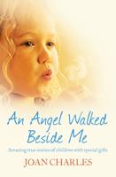   An Angel Walked Beside Me: Amazing stories of children who touch the other side