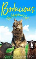   Bodacious: The Shepherd Cat