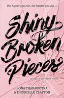   Shiny Broken Pieces