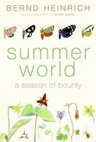   Summer World