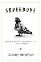  Superdove