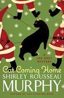   Cat Coming Home