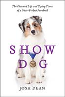   Show Dog