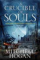   A Crucible of Souls