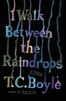   I Walk Between the Raindrops