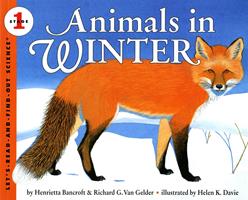   Animals in Winter
