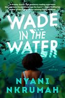  Wade in the Water