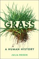   Grass