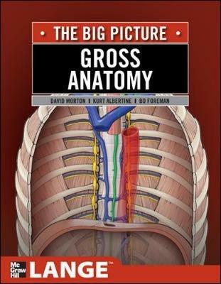Gross anatomy: the big picture - David A. Morton, K. Bo Foreman, Kurt H. Albertine - Libro McGraw-Hill Education 2011, Medicina | Libraccio.it