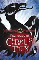   The Story of Cirrus Flux