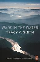   Wade in the Water