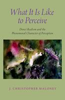   What It Is Like To Perceive