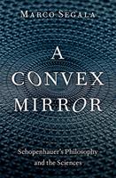   A Convex Mirror