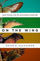   On the Wing