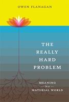   The Really Hard Problem
