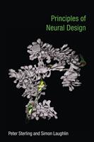   Principles of Neural Design