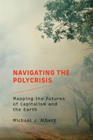   Navigating the Polycrisis