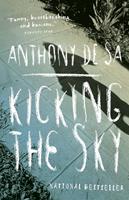   Kicking the Sky
