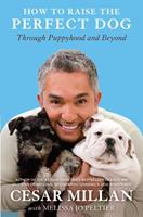   How to Raise the Perfect Dog