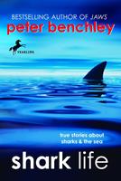   Shark Life