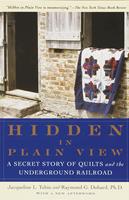   Hidden in Plain View