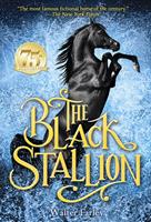   The Black Stallion