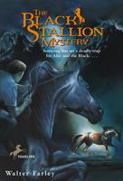   The Black Stallion Mystery