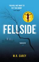   Fellside