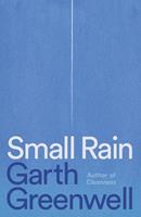   Small Rain