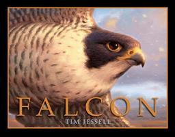   Falcon