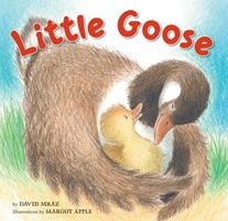   Little Goose