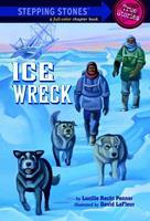   Ice Wreck