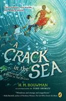   A Crack in the Sea