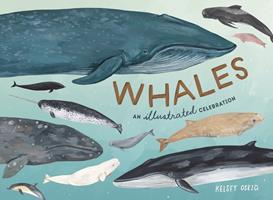   Whales