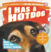   I Has a Hotdog