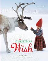   The Christmas Wish