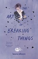   The Art of Breaking Things