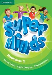 Super minds. Level 2. Flashcards (pack of 103).