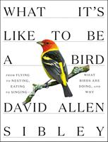 What It's Like to Be a Bird