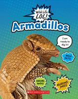   Armadillos (Wild Life LOL!)