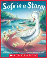   Safe in a Storm