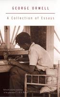   A Collection Of Essays