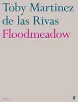   Floodmeadow