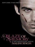   Blaze of Memory
