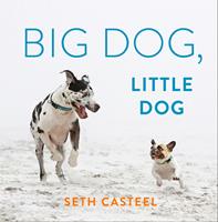   Big Dog, Little Dog