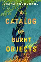   A Catalog of Burnt Objects