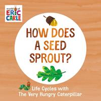   How Does a Seed Sprout?