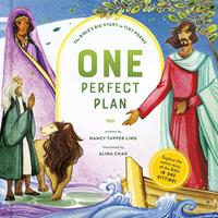   One Perfect Plan